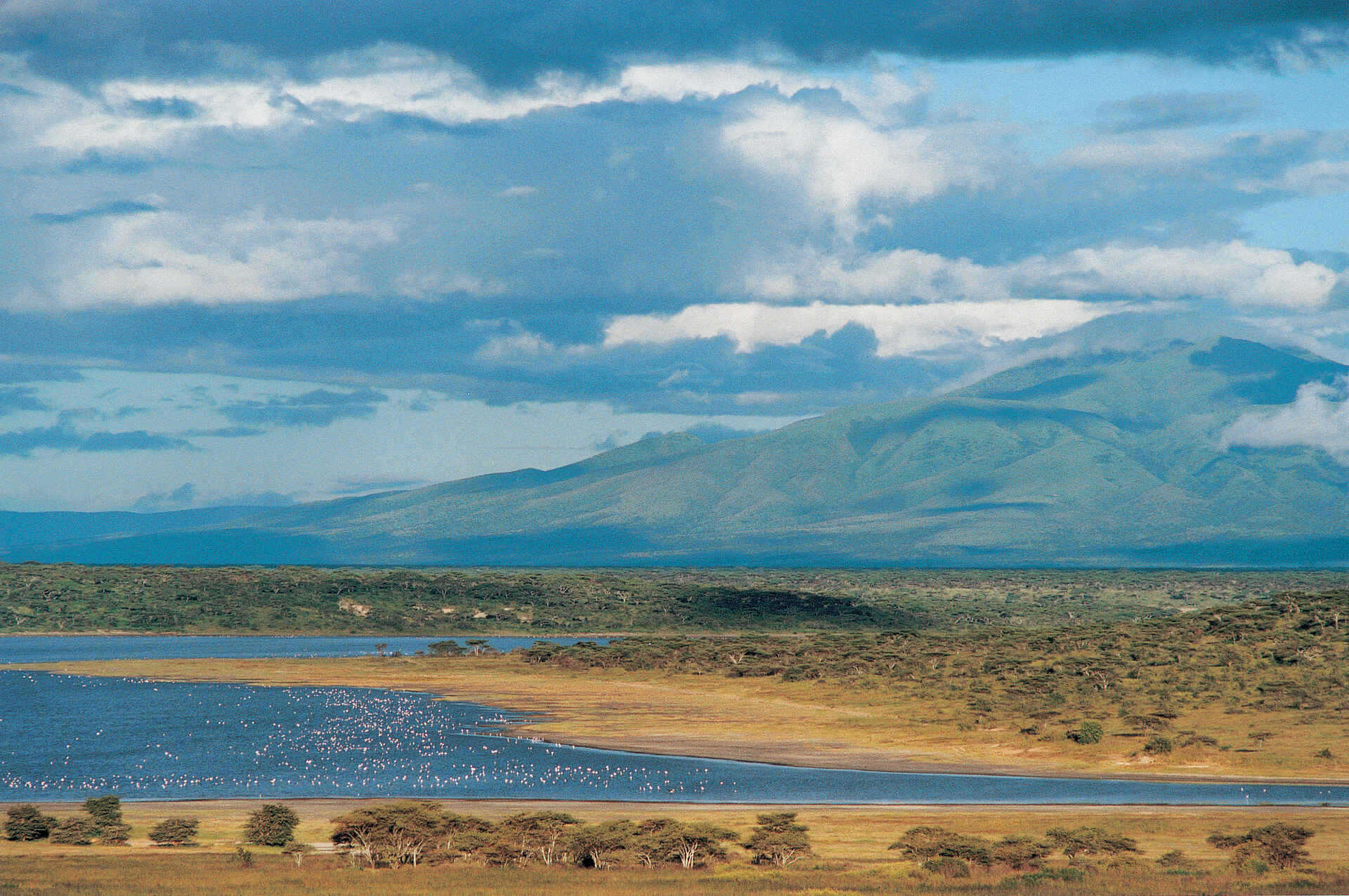 Ndutu Safari Lodge, Flamingos, Lake Ndutu, Landschaft, Lemagrut Mountain, Panorama, See, afrikarma, afrikarma Safaris, afrikarma.de