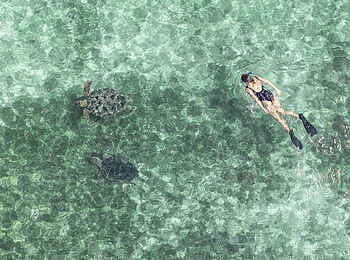 Time + Tide Tsara Komba: Schnorcheln mit Schildkröten
