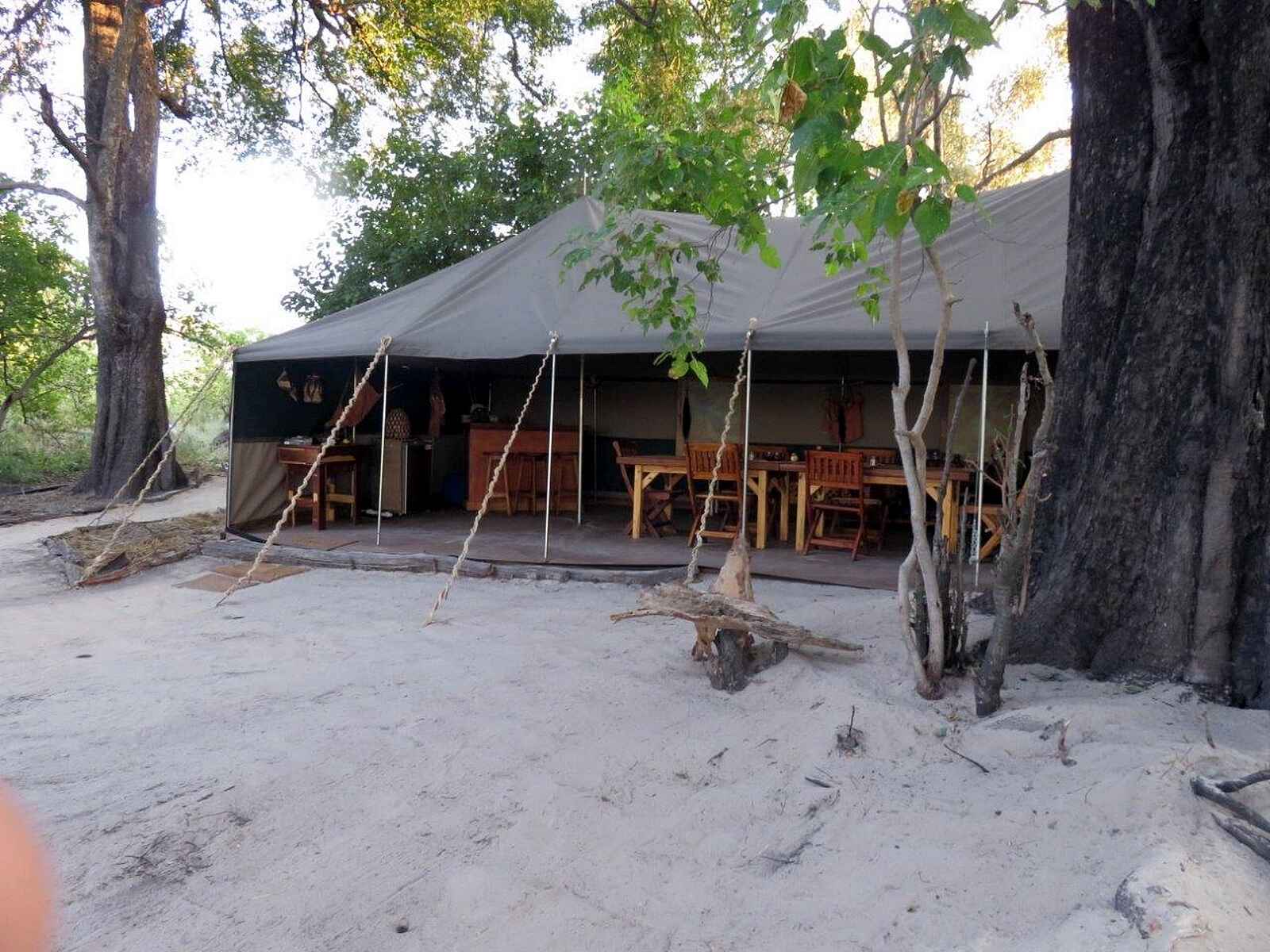 Bushman Plains Camp: Speisezelt Bushman Plains Camp: Speisezelt