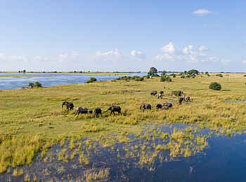 Chobe Savanna Lodge: Flußufer