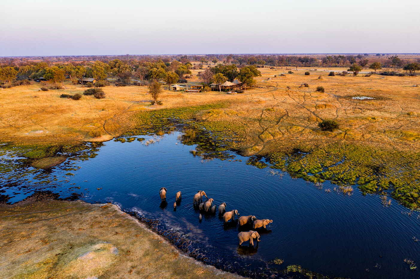 Tuludi Camp: Elefanten vor dem Camp