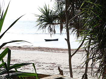 Alfajiri Villas: Weißer Sandstrand