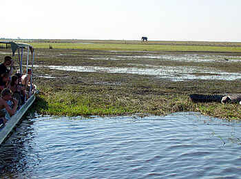 Chobe Safari Lodge: Flussmarsch Chobe Safari Lodge: Flussmarsch