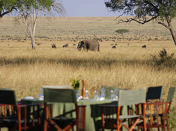 Governors' Camp: Mahlzeit mit Elefantenbeobachtung Governors' Camp: Mahlzeit mit Elefantenbeobachtung