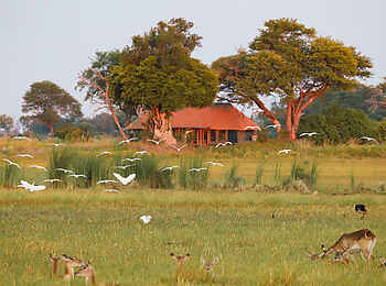 Kanana-Nyana-Camp: Safari Suite Ansicht