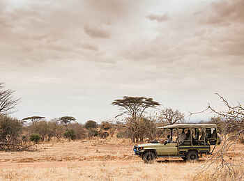 Kwihala Camp: Unterwegs im Safarifahrzeug