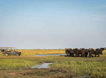 Linyanti Tented Camp: Pirschfahrt