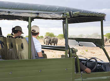 Mushara Game Drive: Unterwegs im Etosha Nationalpark