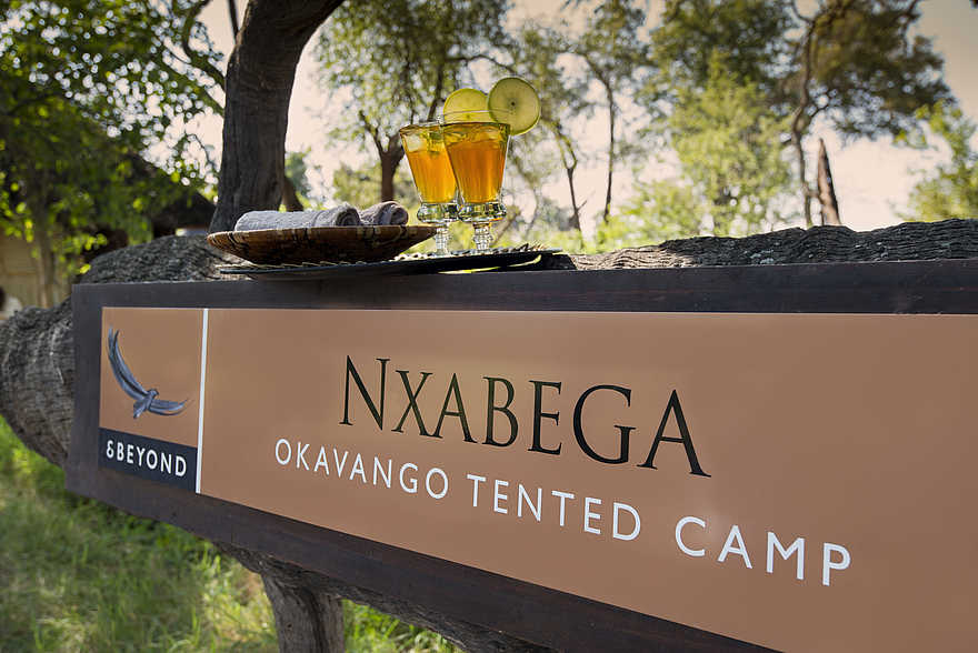 Nxabega Okavango Tented Camp: Willkommen im Camp Nxabega Okavango Tented Camp: Willkommen im Camp