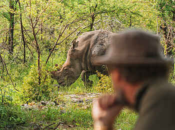 Onguma Trails Camp: Ein Nashorn aus nächster Nähe