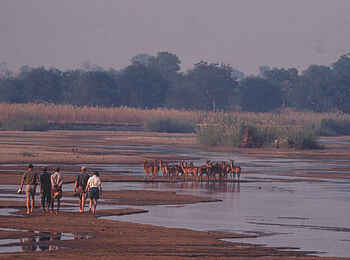 Robin Pope Safaris: Im Flussbett des Mupamadzi River