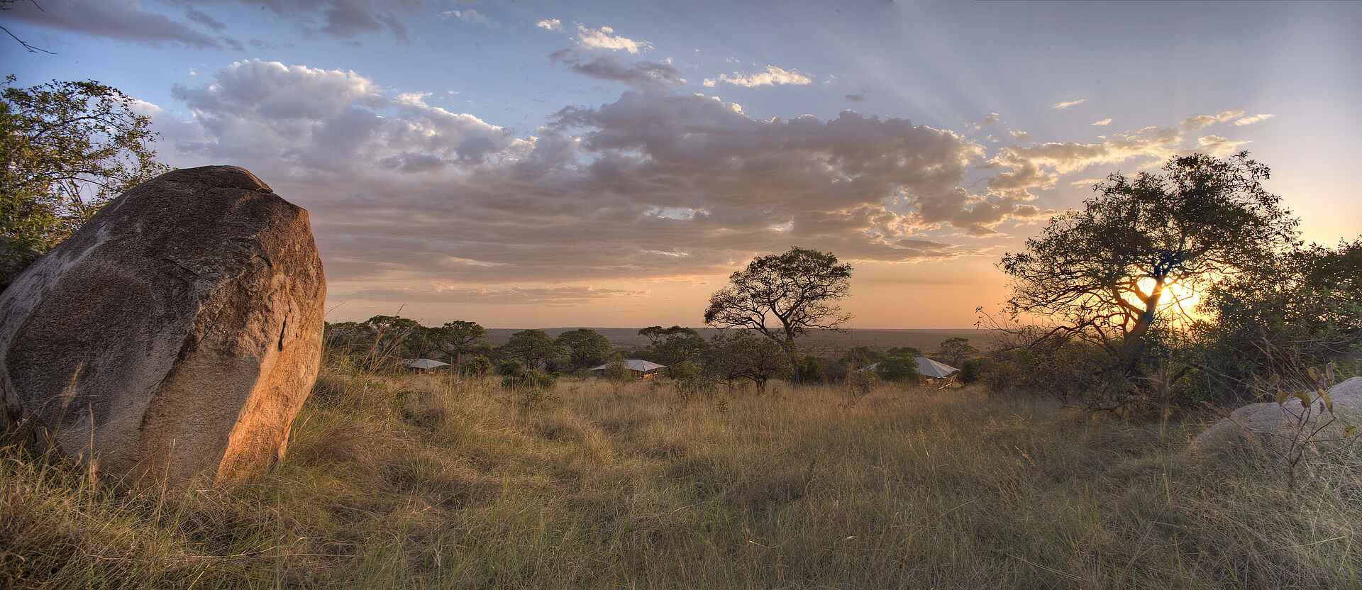 Serengeti Bushtops: Gästezelte