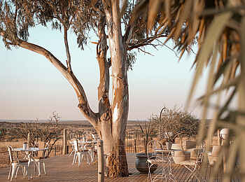 Voigtland Guesthouse: Die Terrasse