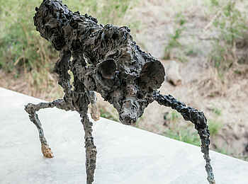 Cheetah Plains Mapogo House: Kunst Cheetah Plains Mapogo House: Kunst