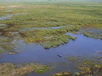 Linyanti Ebony: Luftbild der Sümpfe Linyanti Ebony: Luftbild der Sümpfe