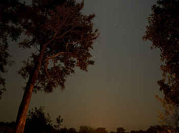 Chikoko Tree Camp: Lagerfeuer Romantik Chikoko Tree Camp: Lagerfeuer Romantik