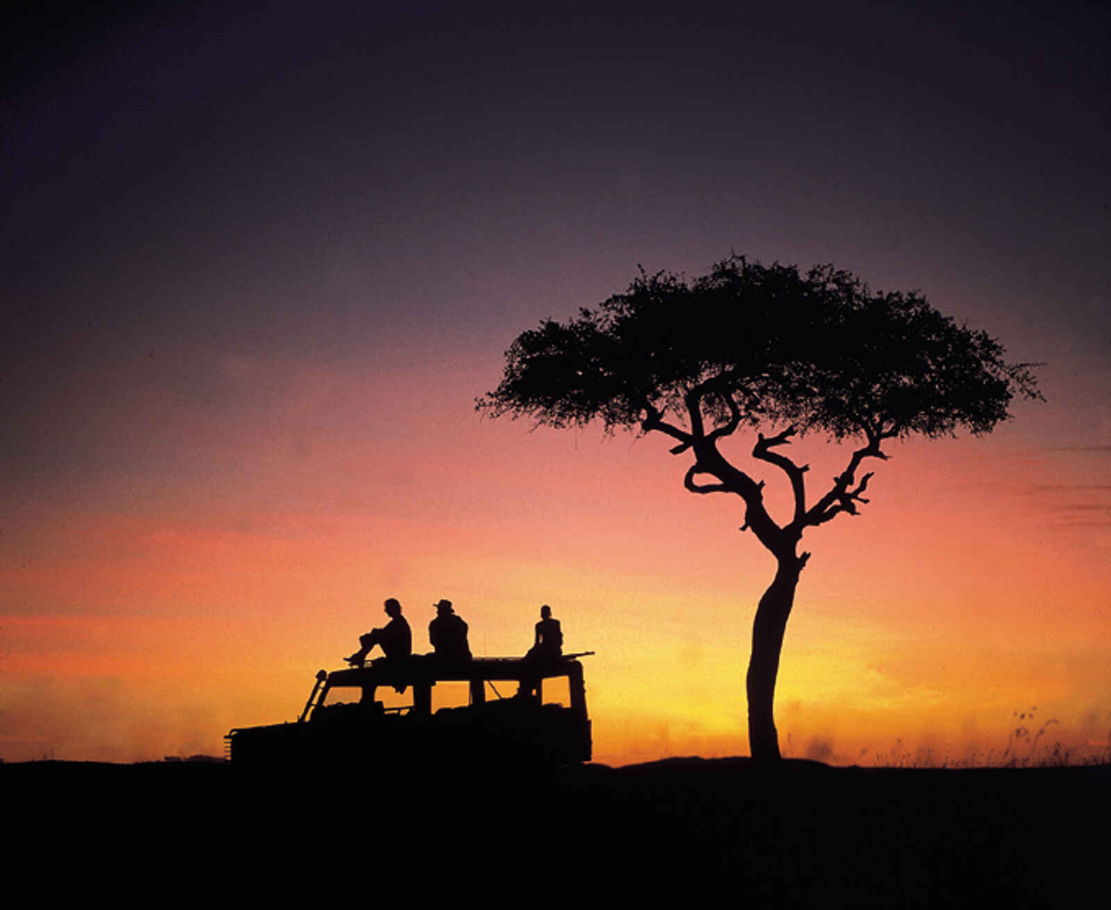 Elephant Pepper Camp: Pirschfahrt im Sonnenuntergang Elephant Pepper Camp: Pirschfahrt im Sonnenuntergang