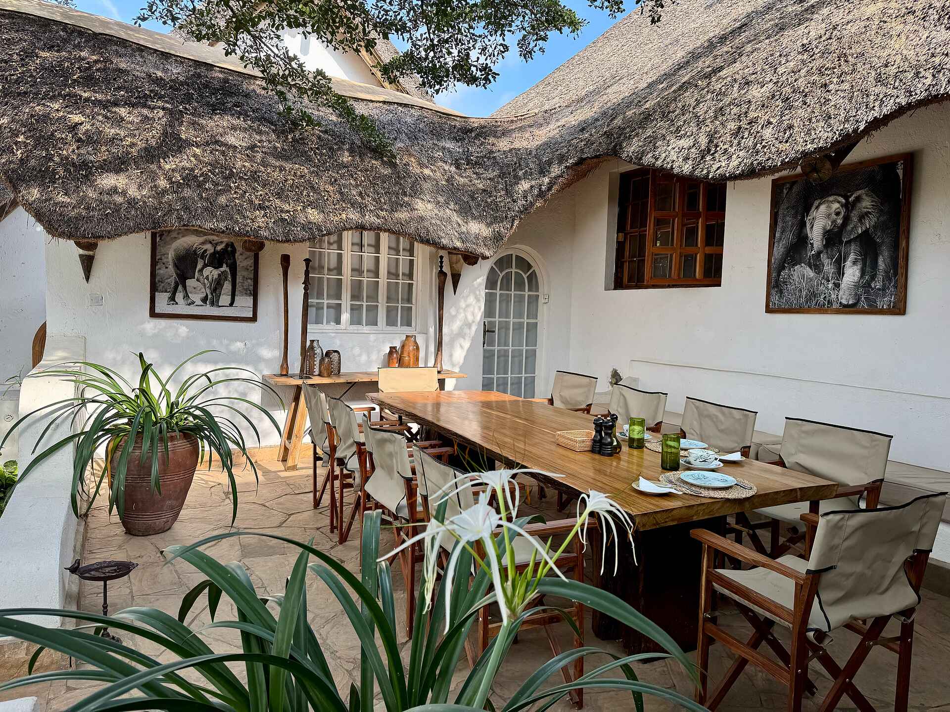 Laba Mama Simba: Die Terrasse
