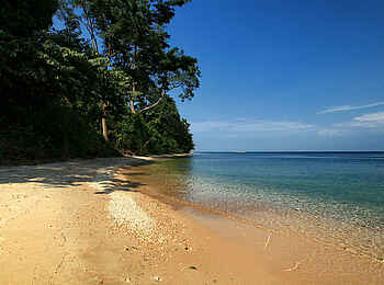 Mbali Mbali Gombe Lodge: Am Ufer