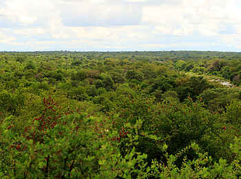 Motswari Game Lodge: Natur der Umgebung