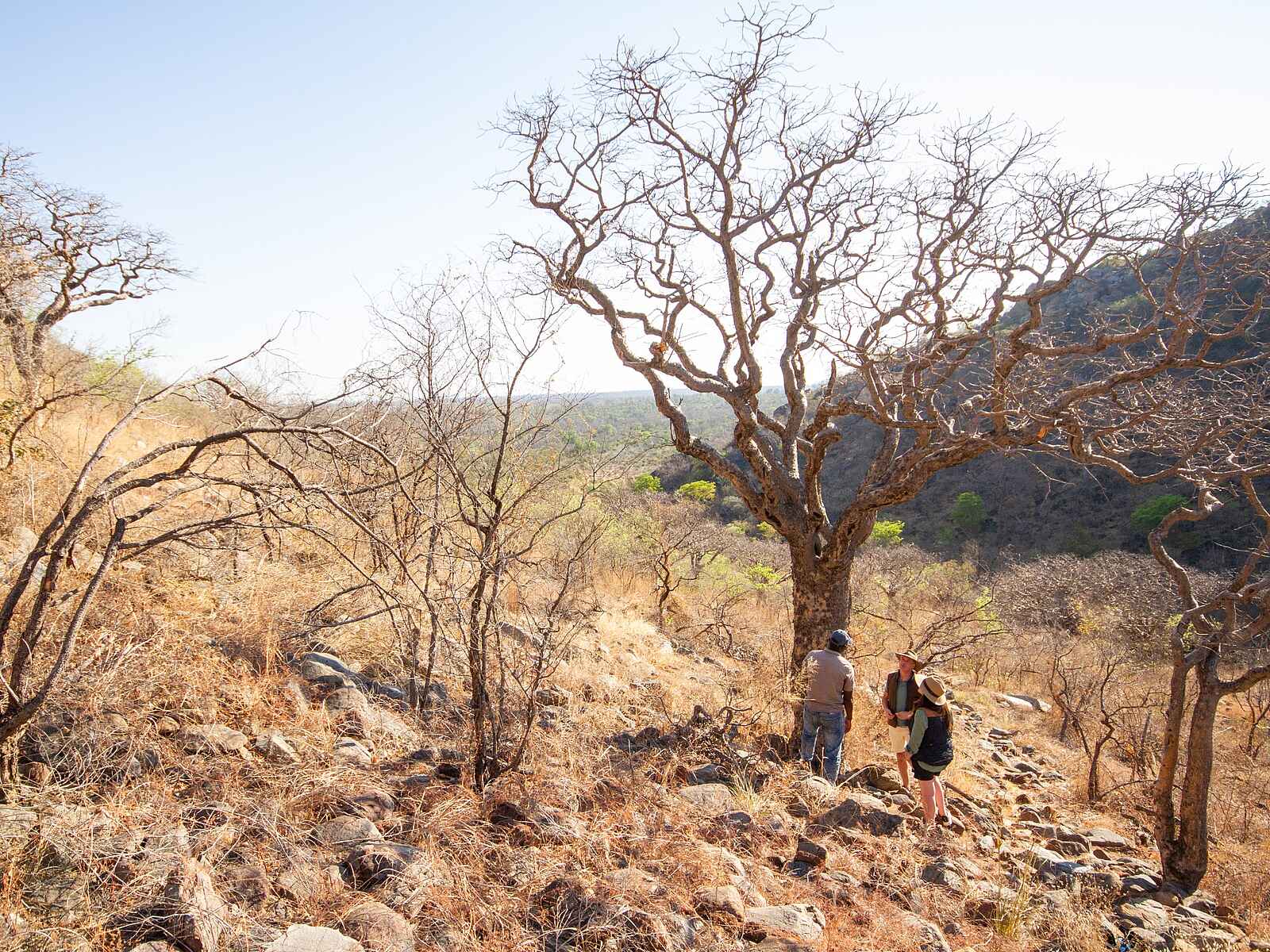 Nxamaseri Island Lodge: Wandern bei den Tsodilo Hills Nxamaseri Island Lodge: Wandern bei den Tsodilo Hills