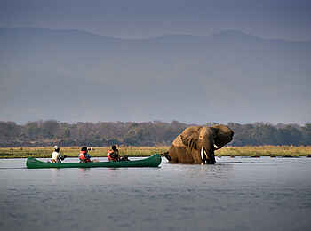 Nyamatusi Mahogany: Begegnung im Wasser