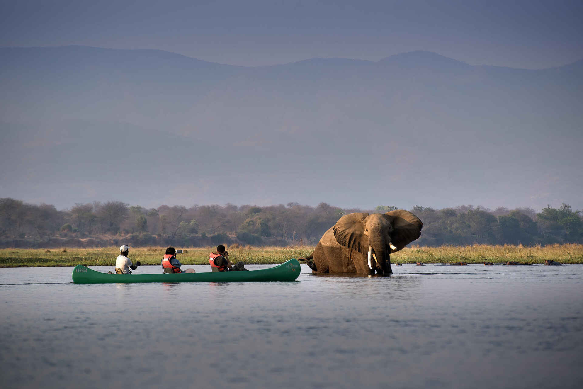 Nyamatusi Mahogany: Begegnung im Wasser