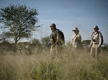 Oliver's Camp: Geführte Wanderung Oliver's Camp: Geführte Wanderung