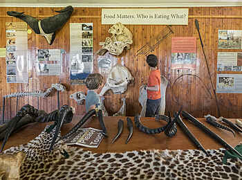 Porini Rhino Camp: Im Museum