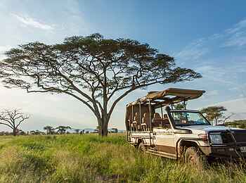 Roving Bushtops Camp: Safarifahrzeug