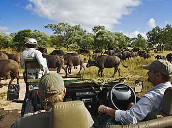 Royal Malewane: Pirschfahrt