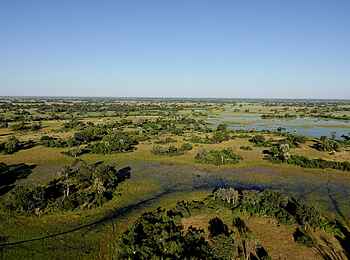 Setari Camp: Das Delta