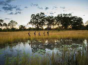 Sitatunga Private Island Camp: Walking Safari Sitatunga Private Island Camp: Walking Safari