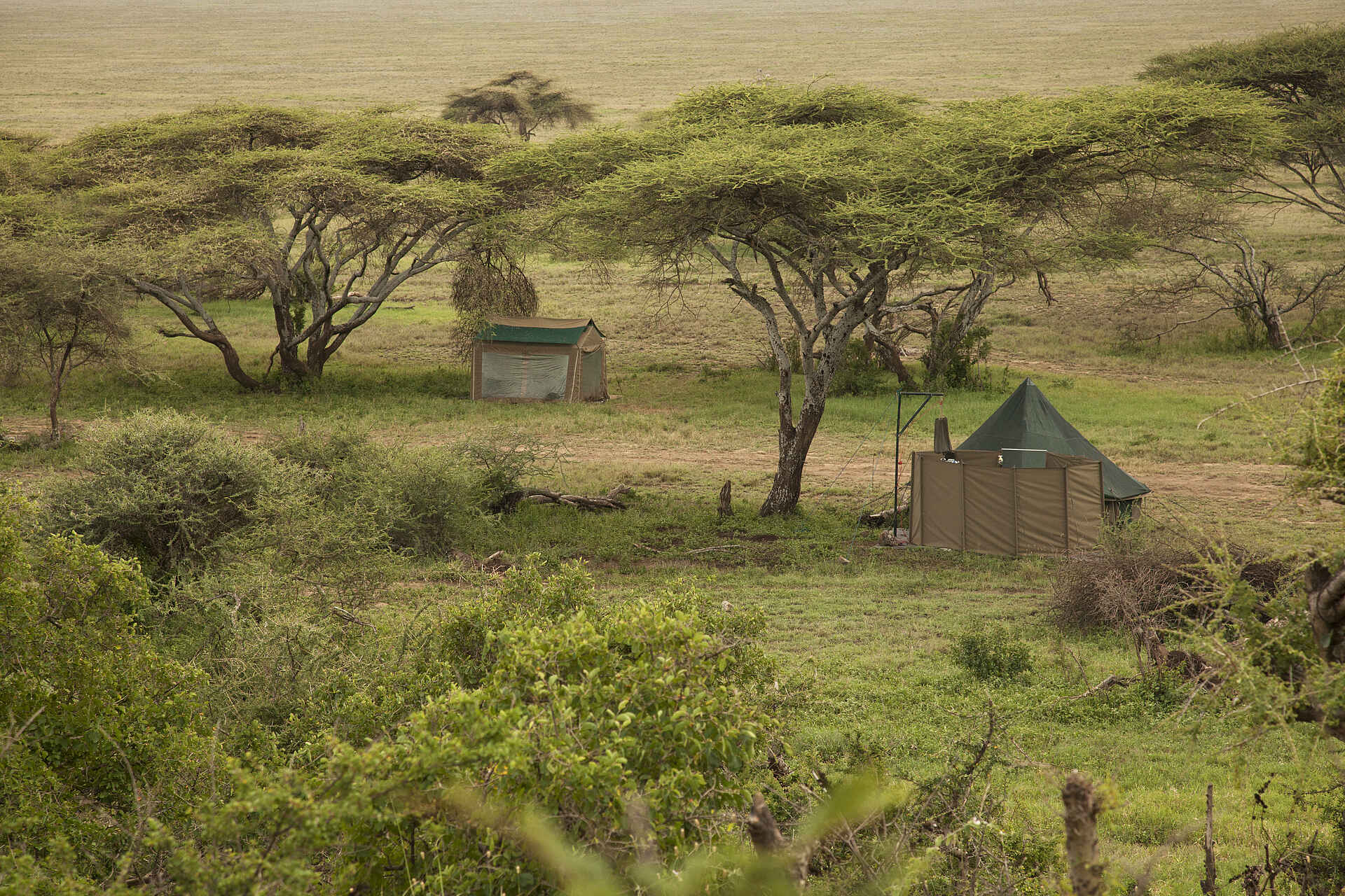 Naabi Hill, Serengeti, Tansania, Wayo Nabi Green Camp, Wayo Africa, Akazien, Allgemein, Gästezelt, Landschaft, Umgebung, Zentrale Einrichtungen, Afrikarma, Afrikarma Safaris, Afrikarma Safaris – Wildnis. Hautnah., afrikarma.de