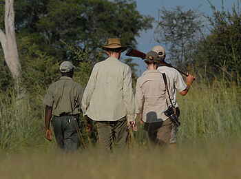 Zambezi Sands: Bush Walk
