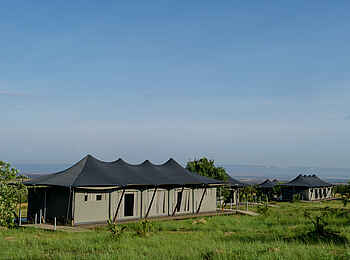 Mara Mara Tented Lodge: Gästezelt mit doppeltem Dach Mara Mara Tented Lodge: Gästezelt mit doppeltem Dach