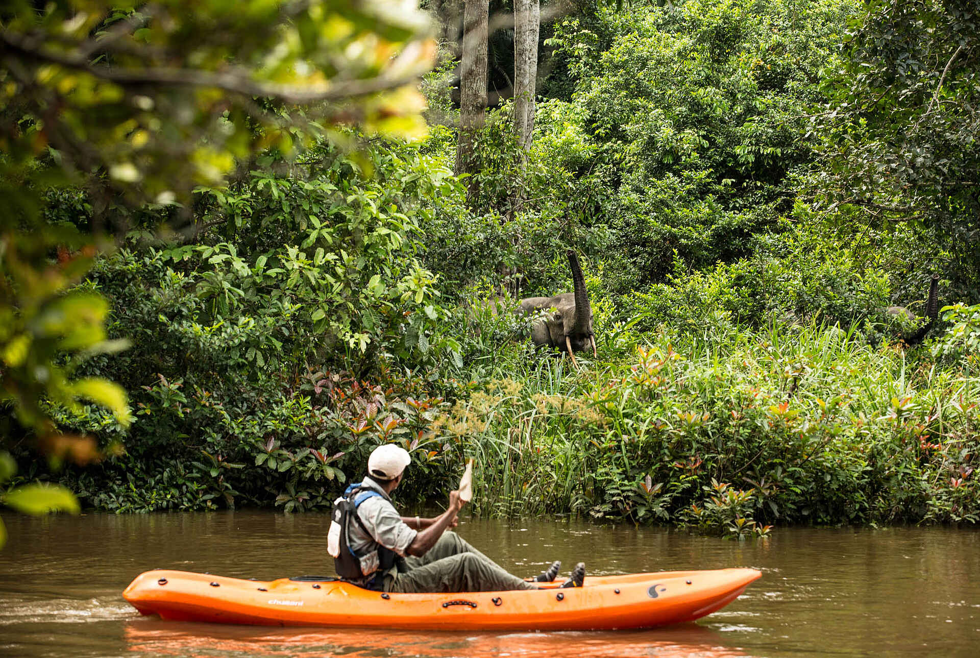 Kongo, Mboko, Mboko Camp, Odzala, Odzala Discovery Camps, Odzala Nationalpark, Safari, Aktivitäten, Kajak, Afrikarma, Afrikarma Safaris, Afrikarma Safaris - Wildnis. Hautnah., afrikarma.de