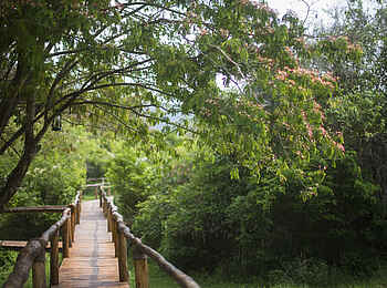 Ruzizi Tented Lodge: Die Bohlenwege in der Lodge