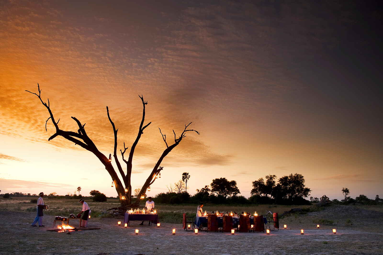 Selinda Camp: Dinner unter den Sternen Selinda Camp: Dinner unter den Sternen
