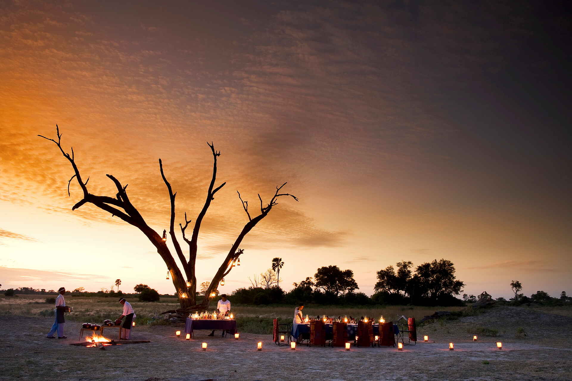 Selinda Camp: Dinner unter den Sternen