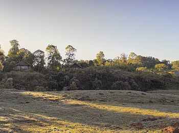Bale Mountain Lodge: Blick über das Gelände Bale Mountain Lodge: Blick über das Gelände