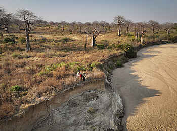 Charlie Ruaha Safari Camp: Wandersafari