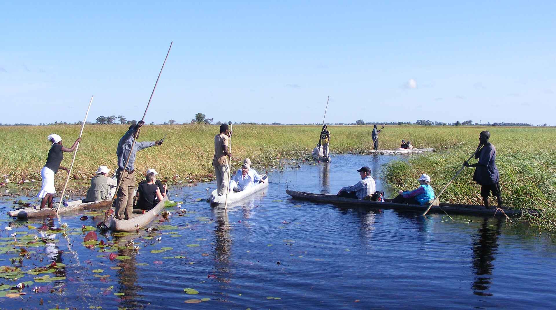 Island Safari Lodge, Mokoro, Mokoro-Tour, Motorbootausflug, Okavango-Delta, Thamalakane River, Afrikarma, Afrikarma Safaris, Afrikarma.de