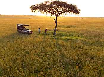 Kaskaz Mara Camp: Sonnenuntergang auf Pirschfahrt