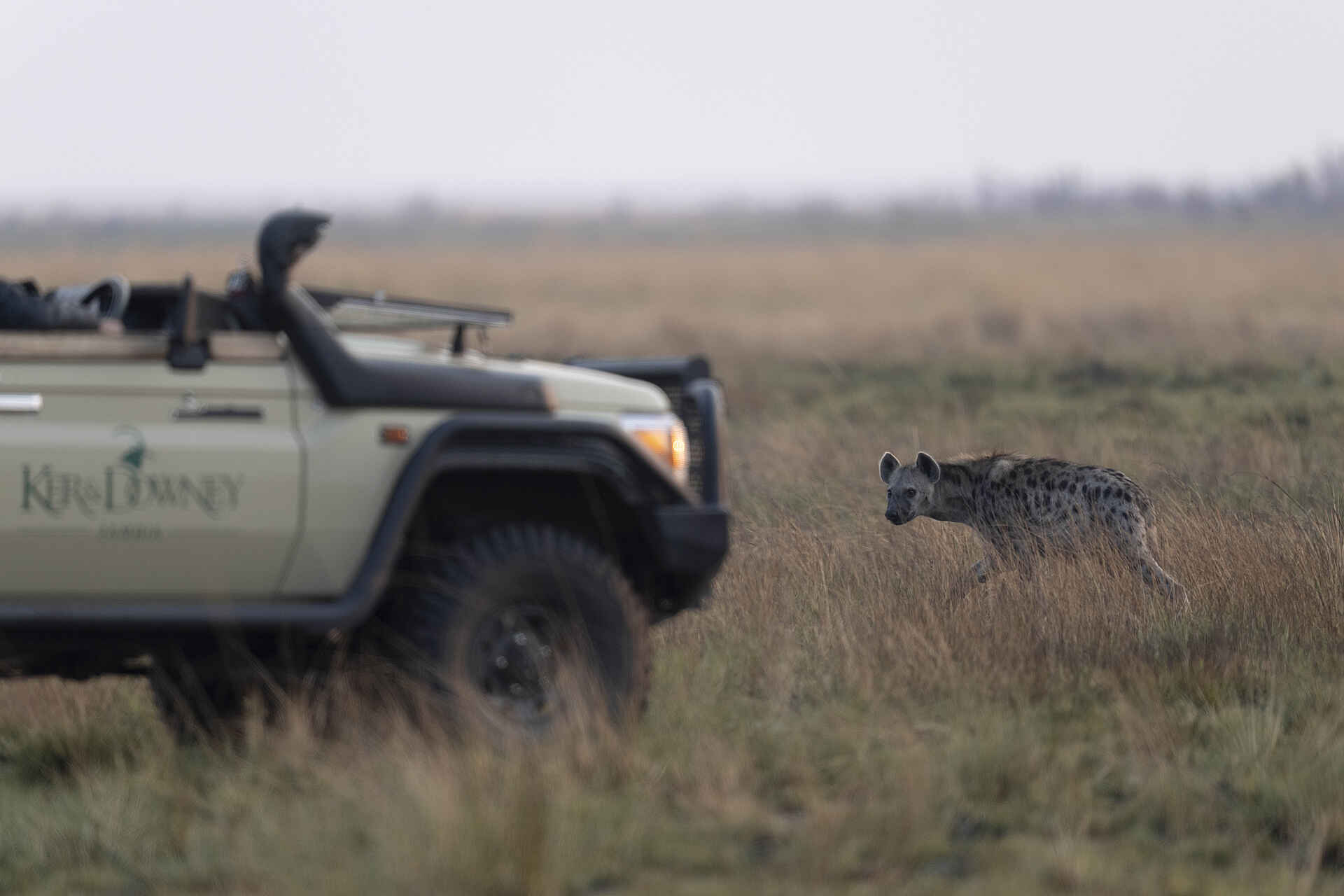 King Lewanika Lodge: Game Drive