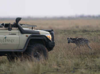 King Lewanika Lodge: Game Drive King Lewanika Lodge: Game Drive