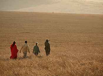 Lewa Safari Camp: Durch endlose Weiten