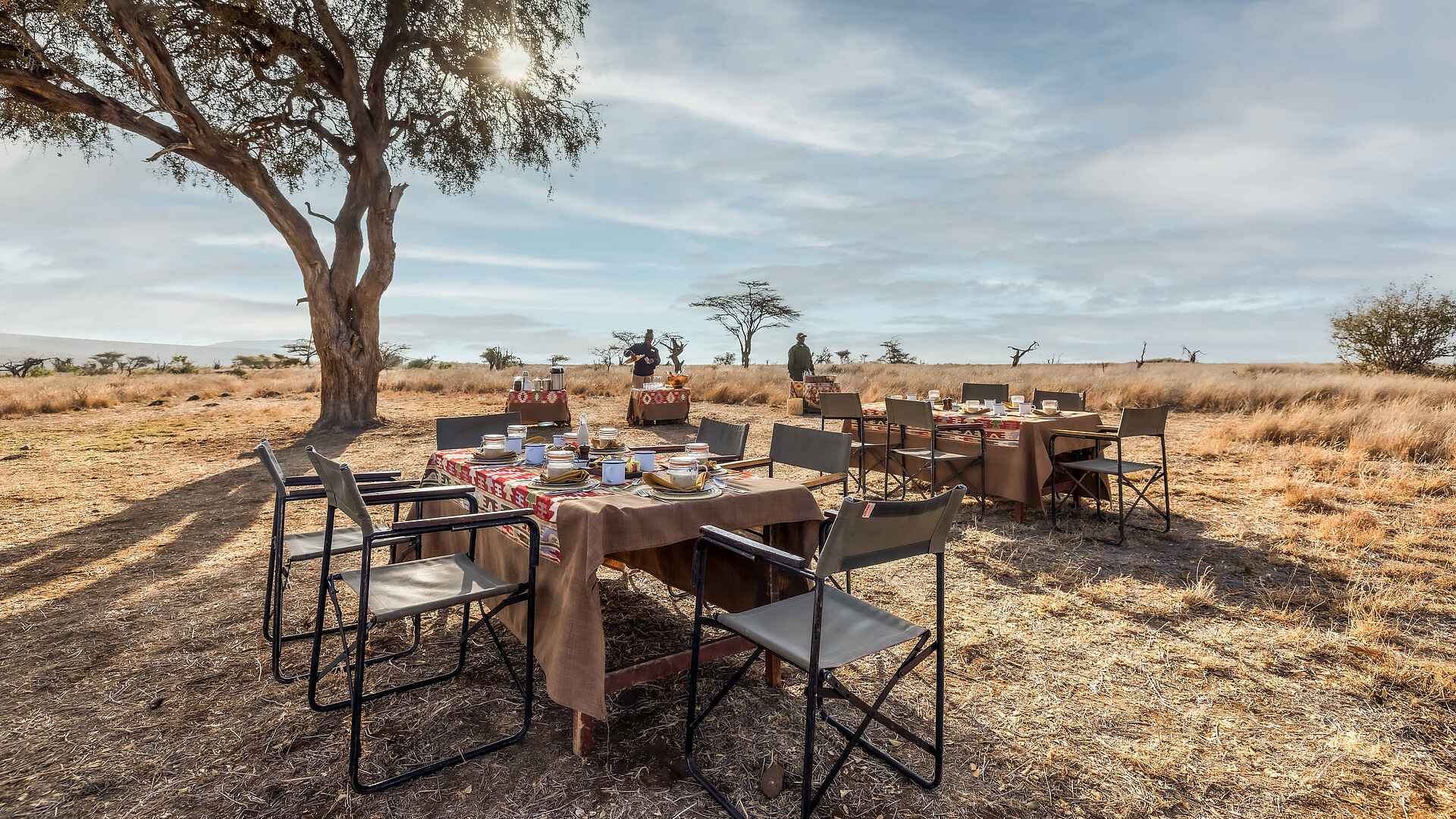 Lewa Safari Camp: Buschfrühstück Lewa Safari Camp: Buschfrühstück