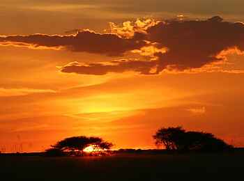 Nxai Pan Camp: Sonnenuntergang