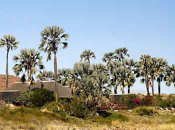 Palmwag Lodge: Blick vom Uniab her zur Lodge